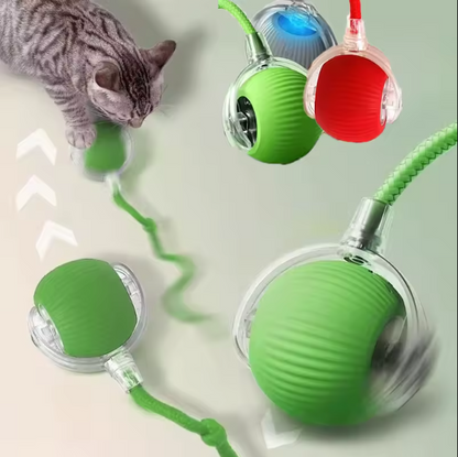 PawSpin — Smart Interactive Pet Toy